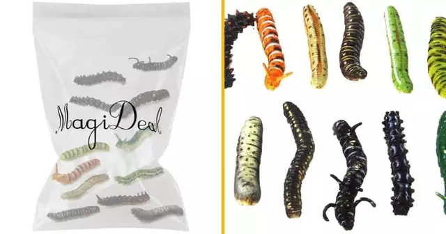 lot-vers-plastique-koh-lanta