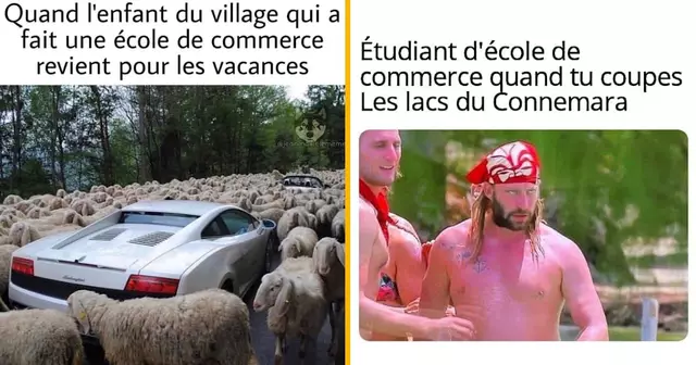 top memes ecole commerce