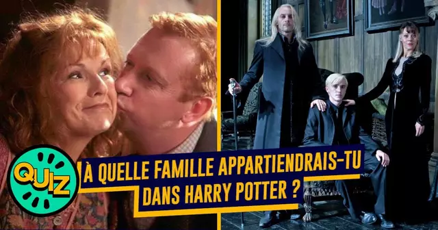 famille harry potter