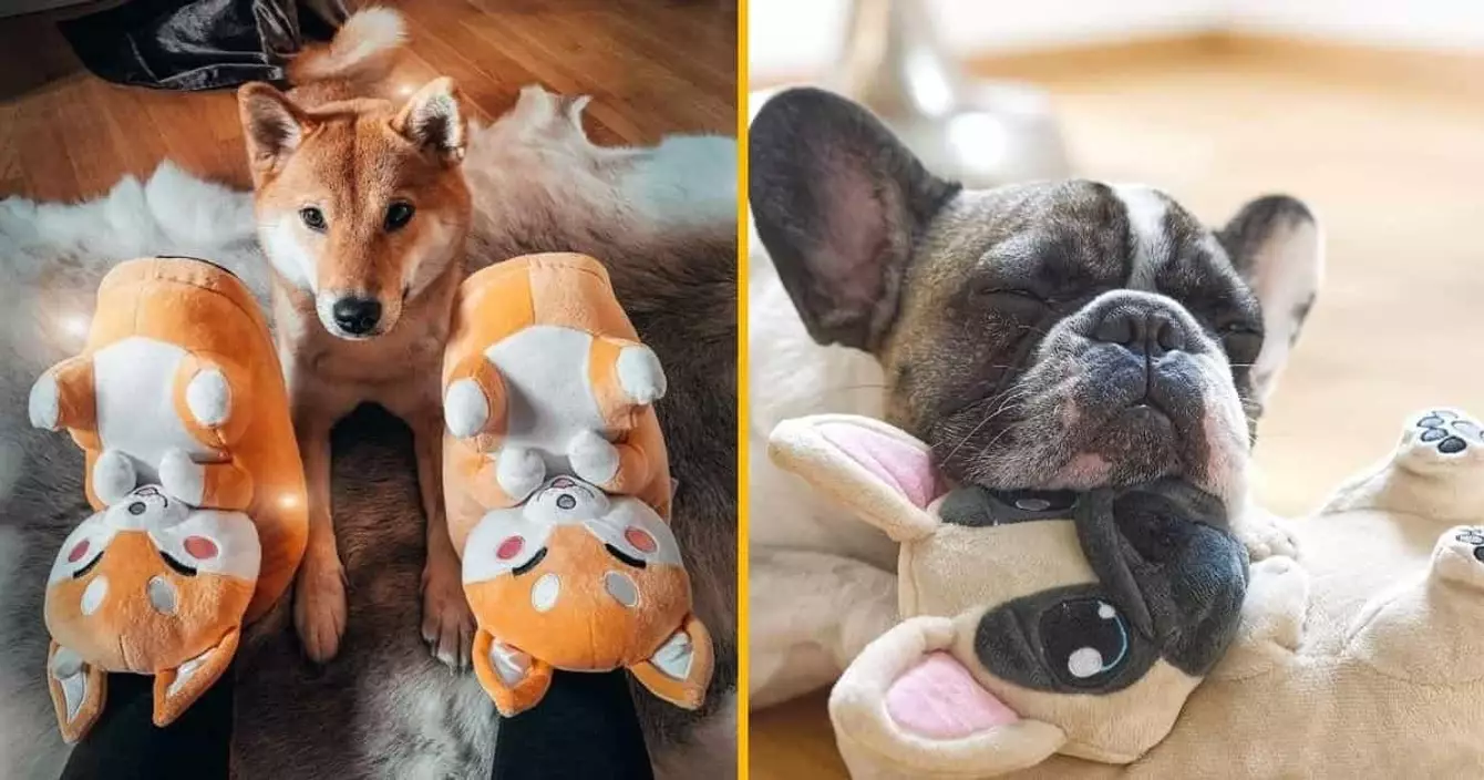 chaussons-chats-trop-kawaii