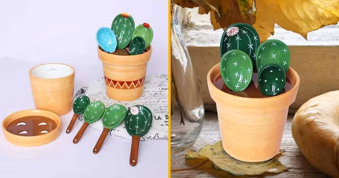 cuillere-mesurer-cactus