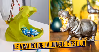 UNE_SHOPPING_hippopotame