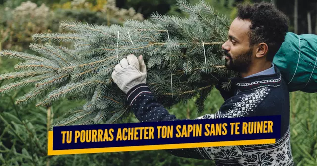 TOP SAPIN SEO