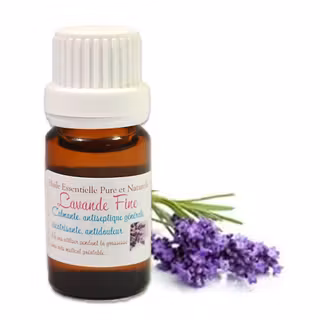 61Go8YYVOWL._SL1008_