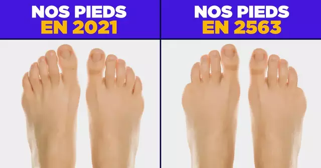 UNE_TOPITO_orteils-2453