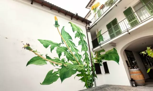 WEEDS-street-art-by-mona-caron-4