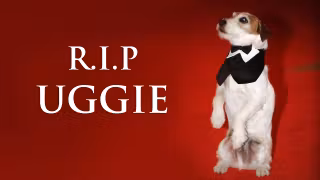 une-rip-uggie