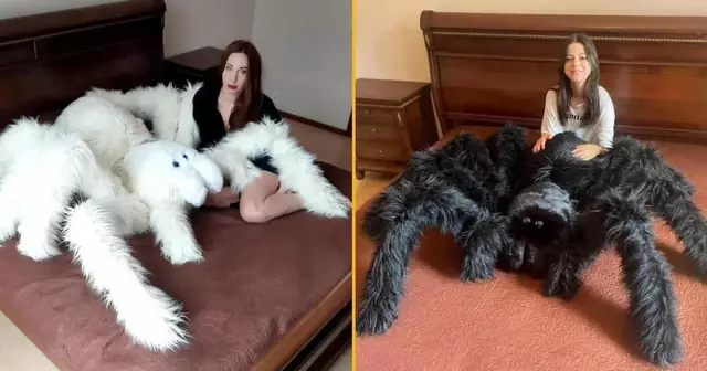 peluche-araignee-geante