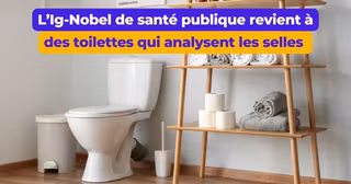toilette