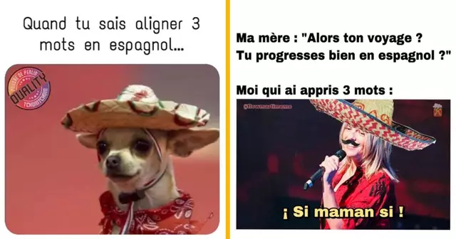 top memes espagne