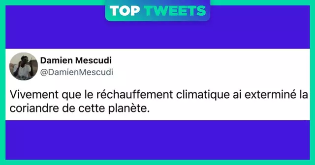tweet climat