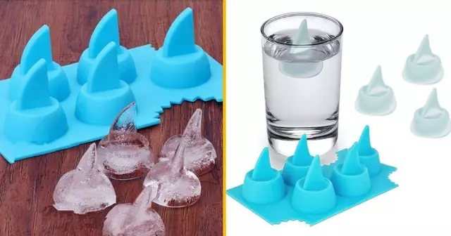 moule-glacons-aileron-requin