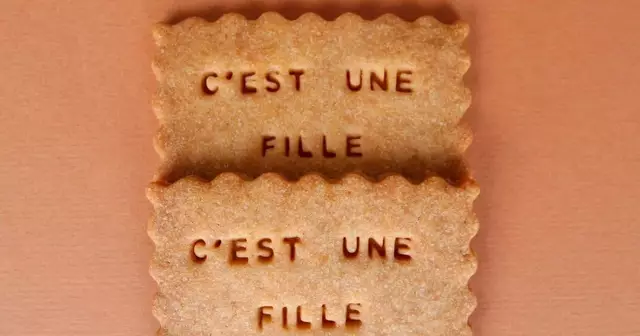 lot-de-biscuit-gender-reveal