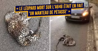 TitresPresseAnglaise