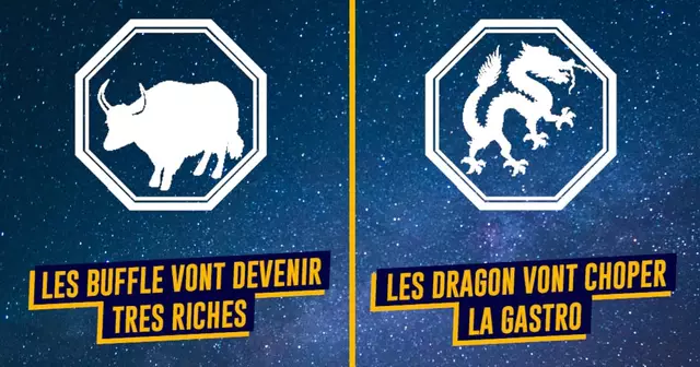 top horoscope chinois 2021