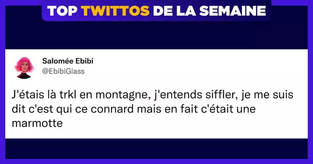 une-top-twittos-ebibi