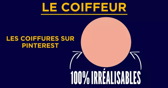 VIGNETTE_INFOGRAPHIE_CHEVEUX0