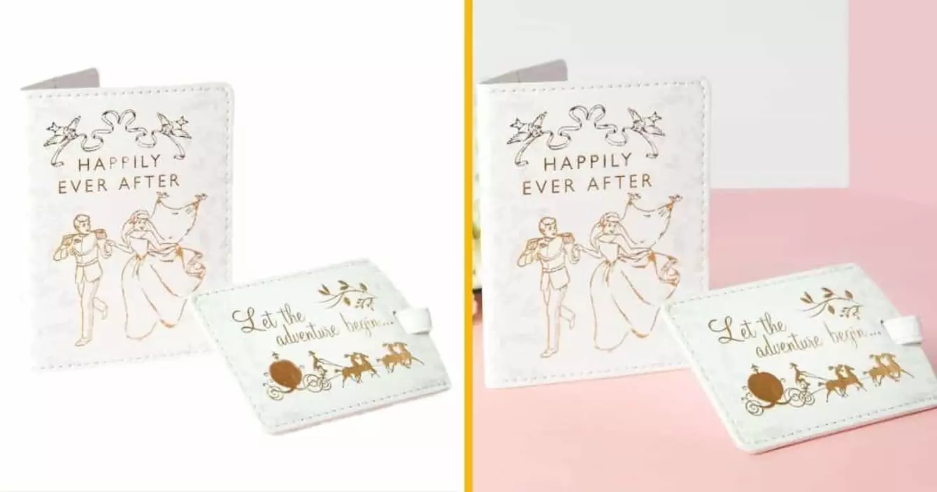 protege-passeport-dumbo