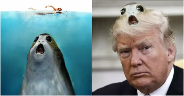 une porg
