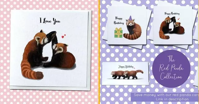 carte-danniversaire-panda-roux