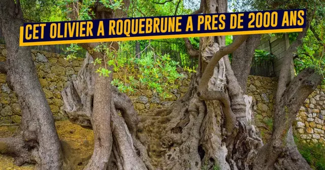 Olivier de Roquebrune