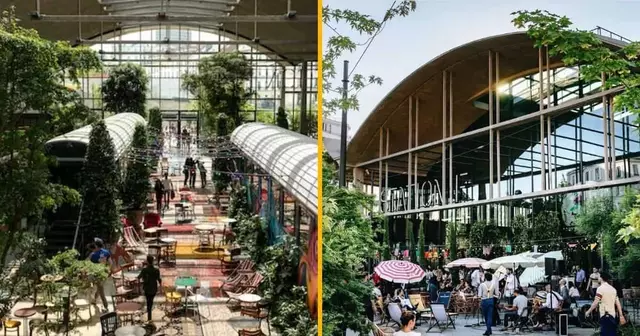 terrasse-vegetalisee-felicita-station-f