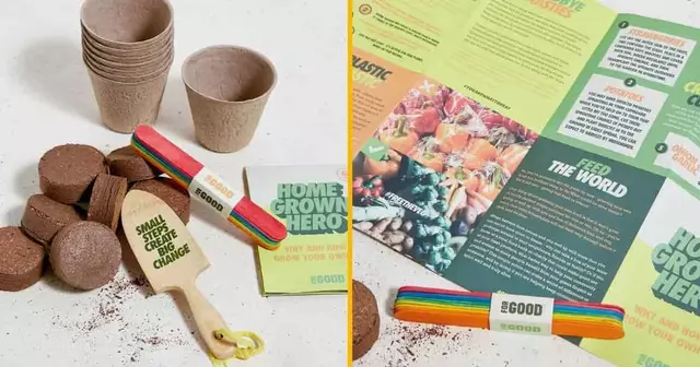 starter-pack-culture