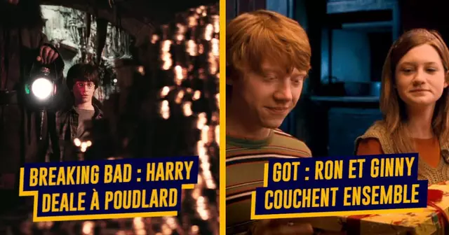 UNE_HARRY_POTTER_SERIE