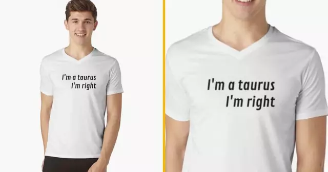 t-shirt-taureau-raison