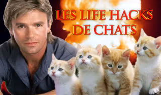 une_life-hask-chats
