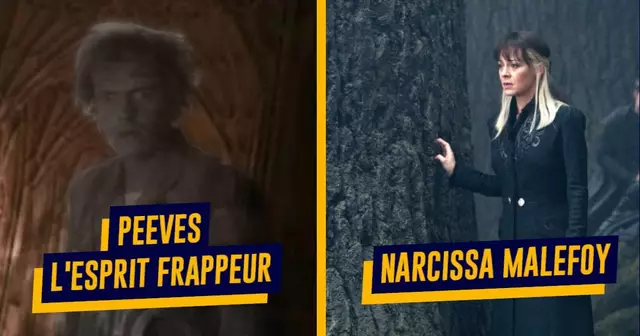 TOP_PERSONNAGES_SOUSCOTES_HP