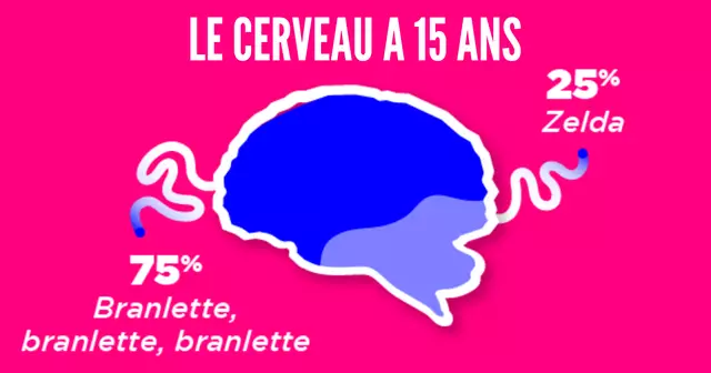 cerveau