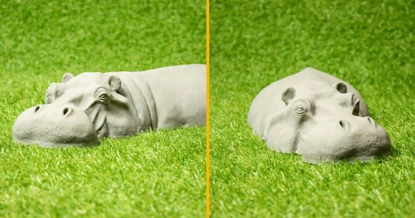 hippopotame-de-jardin