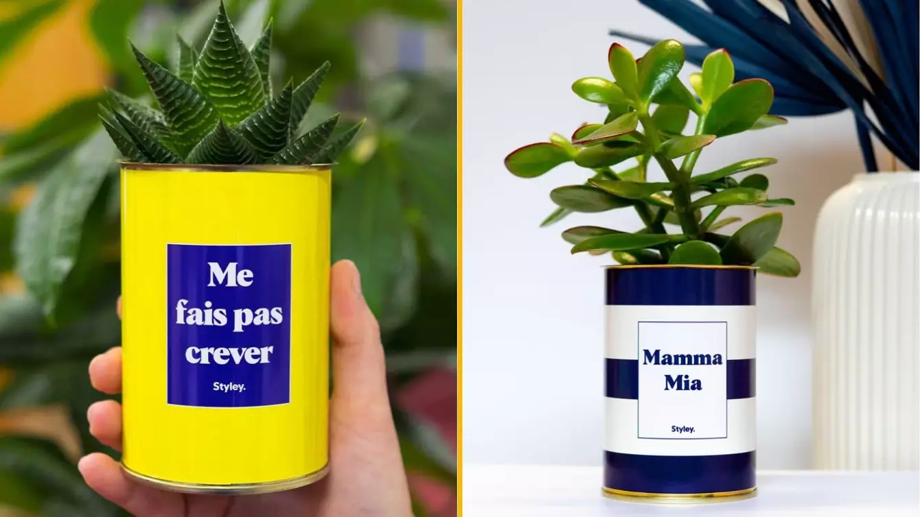 cactus-personnaliser