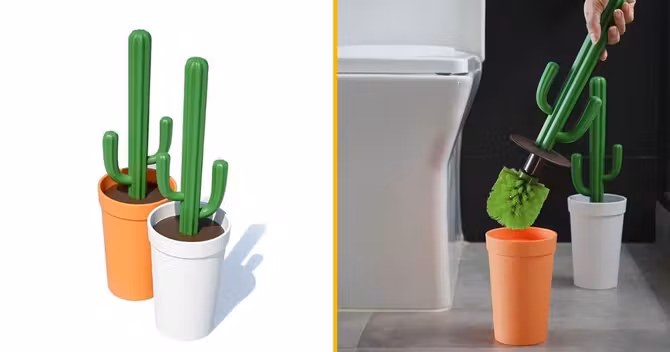 balais-brosse-cactus-aie-aie-aie-ouille