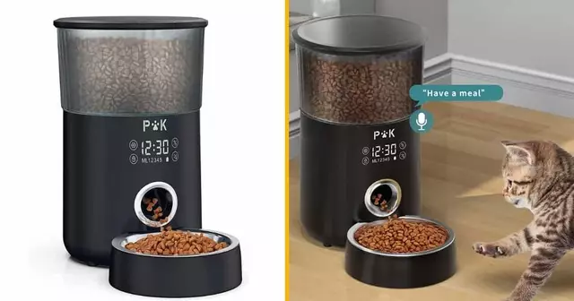 distributeur-automatique-nourriture-chien-