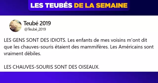 top teubés annee 2019-1