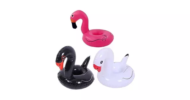 une-petite-bouee-cygne