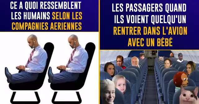 TOP memes avion