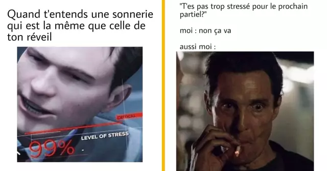 top memes stress