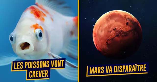 top nostradamus 2023