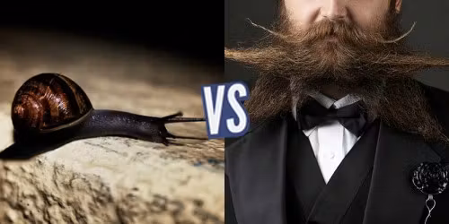 battle-347911-1420480882