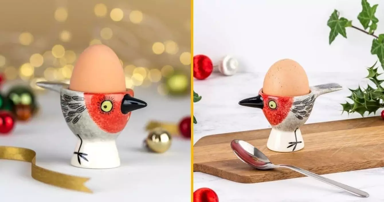 coquetier-rouge-gorge