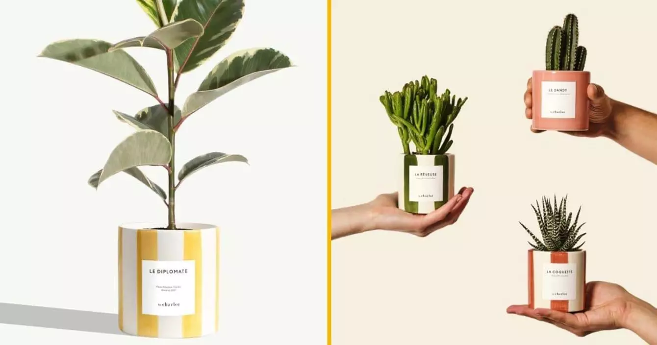 plantes-personnaliser