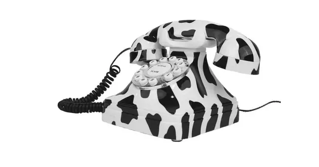 telephone-vache