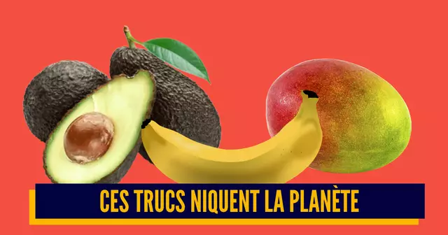une_fruits_mauvais