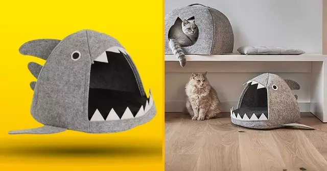 panier-requin-pour-les-thugs