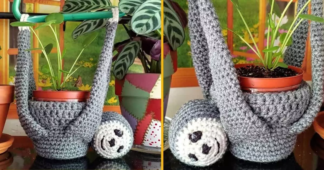 paresseux-suspendu-porter-petites-plantes