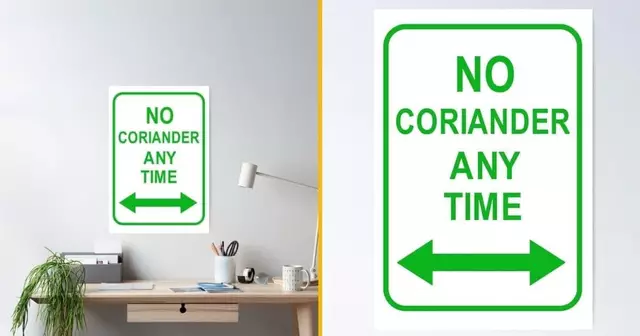 poster-lutter-contre-coriandre