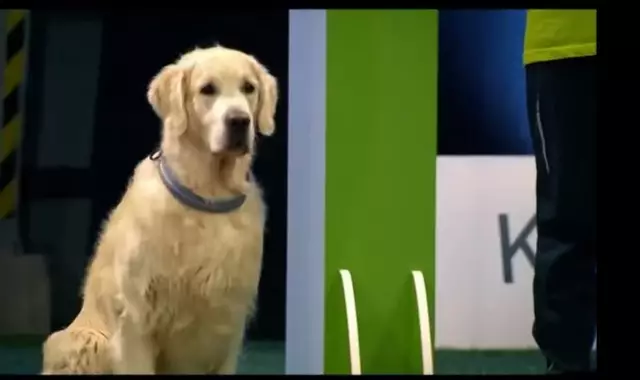 Capture d’écran 2014-11-15 à 13.57.47